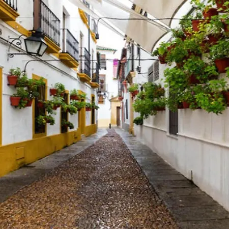 Zahra - Terraza Centro Cordoba Apartment Exterior photo